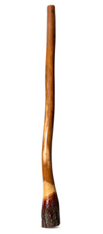 Ironbark Didgeridoo (IB191)